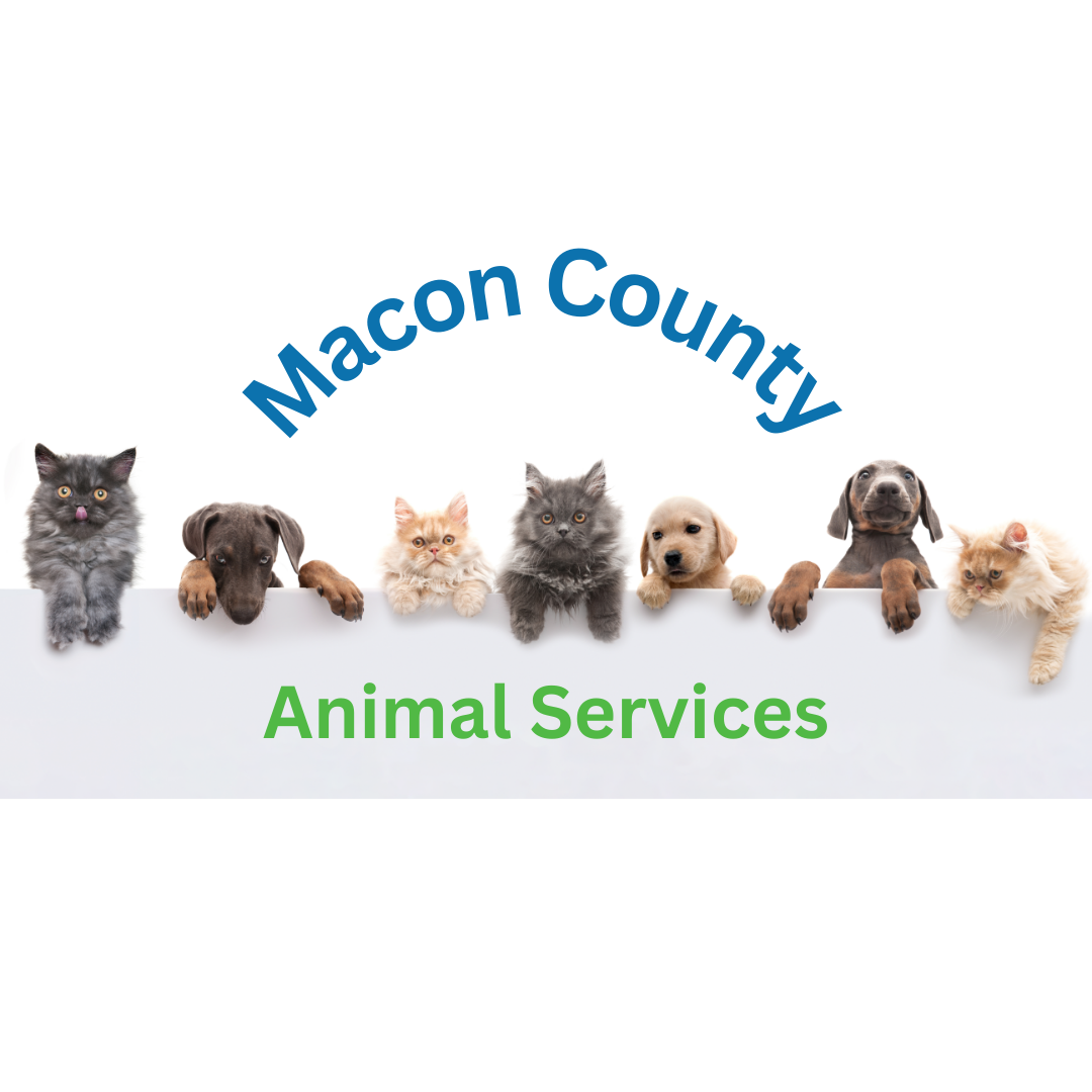 animal services macon county nc north carolina